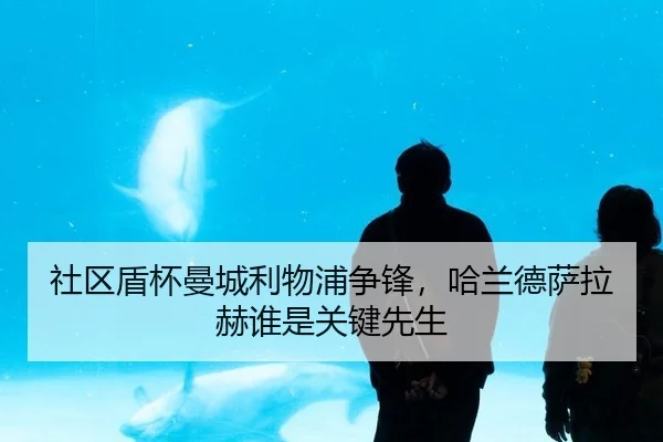 社区盾杯曼城利物浦争锋，哈兰德萨拉赫谁是关键先生