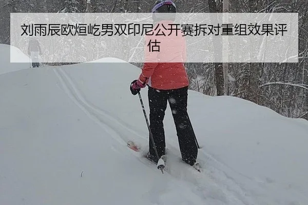 刘雨辰欧烜屹男双印尼公开赛拆对重组效果评估