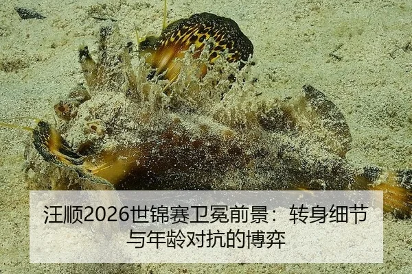 汪顺2026世锦赛卫冕前景：转身细节与年龄对抗的博弈